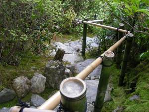 5687106102_705b7d8b24_o