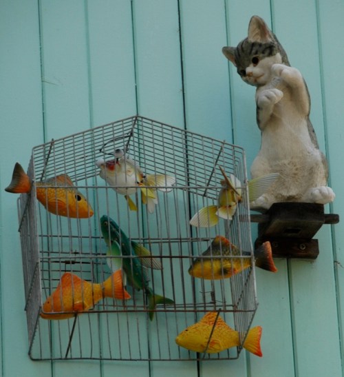 2340960907_c7a7f1645e_o