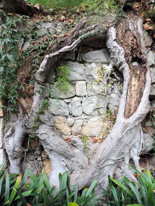 tree wall