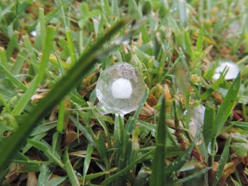 hailstone