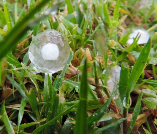 twelve-project-day-five