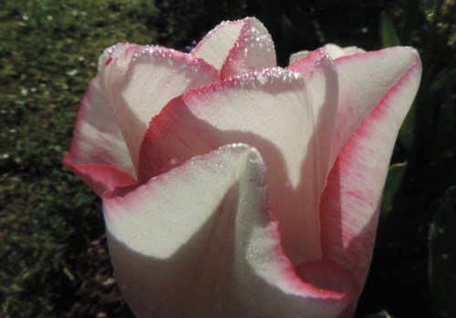 twelve-project-day-four