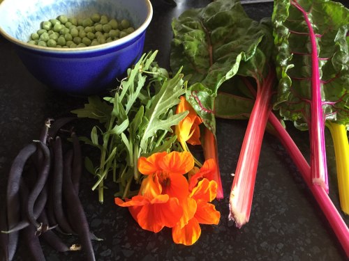 Twelve project Day Six.jpg