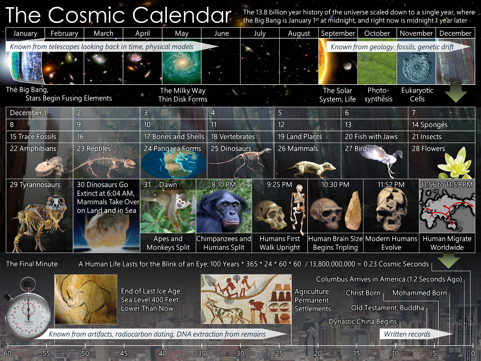 cosmic_calendar