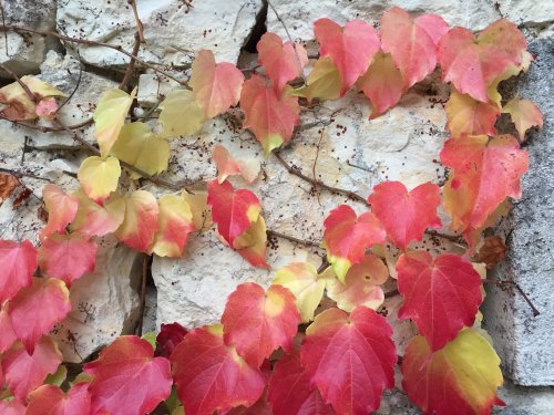 Twelve project Day eleven.jpg