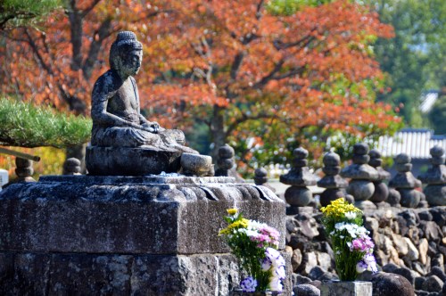 buddha kyoto