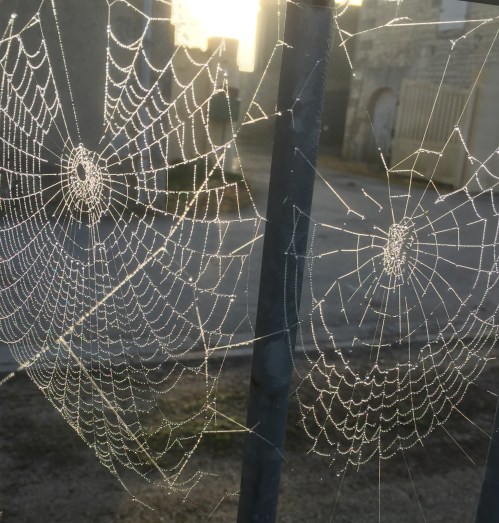 two webs